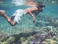 gili lampu lombok